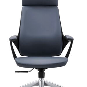 CL-818A
